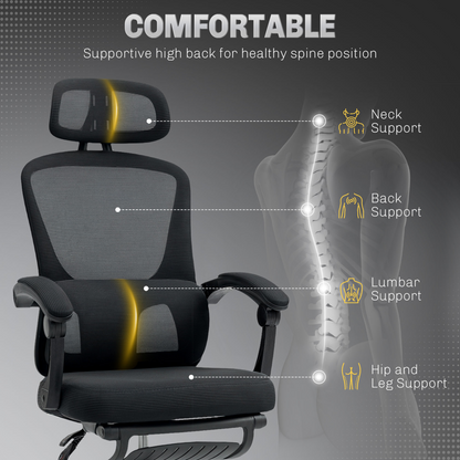 Aurora Mesh Ergonomic Office Chair with Lumbar Support, Headrest