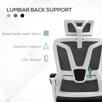 Luna Mesh Office Chair for Home with Lumbar Support, Arm, Footrest, Headrest