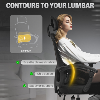 Aurora Mesh Ergonomic Office Chair with Lumbar Support, Headrest
