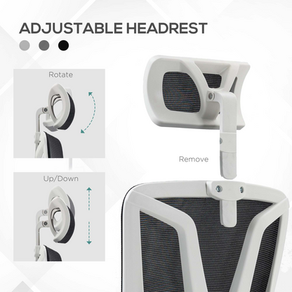 Luna Mesh Office Chair for Home with Lumbar Support, Arm, Footrest, Headrest