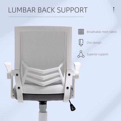 Mesh Swivel Office Chair Task Computer Chair w/ Lumbar Support, Grey  Luna