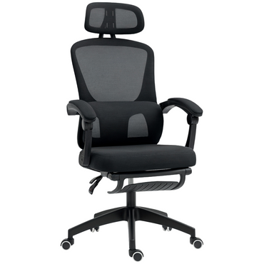 Aurora Mesh Ergonomic Office Chair with Lumbar Support, Headrest