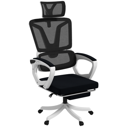 Luna Mesh Office Chair for Home with Lumbar Support, Arm, Footrest, Headrest